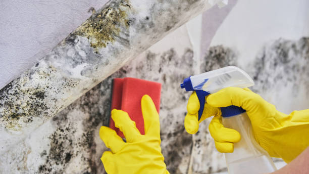Local water damage restoration in Audubon Park, KY
